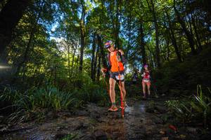 BIB: 
                            <button type="button" onclick="openModal(19229758)" class="btn btn-primary btn-sm float-right btn-popup" data-toggle="modal" data-target=".modal-high-quality">
                        <i class="fas fa-shopping-cart"></i> Add to Cart
                    </button>
                                            <button type="button" onclick="isThisMe(19229758, true)" class="btn btn-success btn-sm float-right btn-popup btn-isme hidden" data-toggle="tooltip" data-placement="bottom" title="นี่คือรูปของคุณใช่ไหม คลิกที่นี่เพื่อเอาเข้าอัลบั้ม">
                        <i class="fas fa-plus"></i> Add to album
                    </button>
                    <button type="button" onclick="isThisMe(19229758, false)" class="btn btn-warning btn-sm float-right btn-popup btn-isnotme hidden">
                        <i class="fas fa-ban"></i> Remove from album
                    </button>